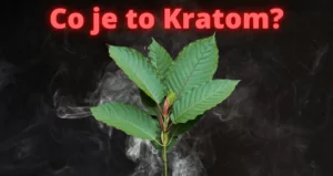 Co je to kratom?